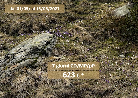 Offerte delle settimane Risveglio di primavera dal 01/05/ - 15/05/2027 - giorni CD/MP/pP - 623 € * Offerte delle settimane Risveglio di primavera dal 01/05/ - 15/05/2027 - giorni CD/MP/pP - 623 € *